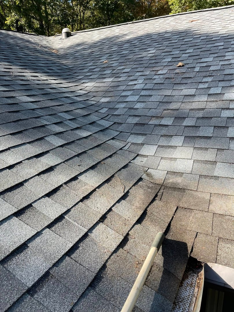 Roof after cleaning