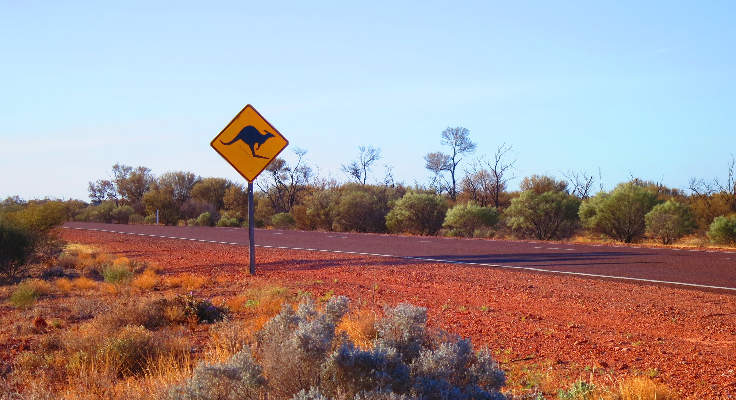 Outback australian famous iconic kangaroo motorway road sign taken in the desert on the stuart highway in South Australia, SA