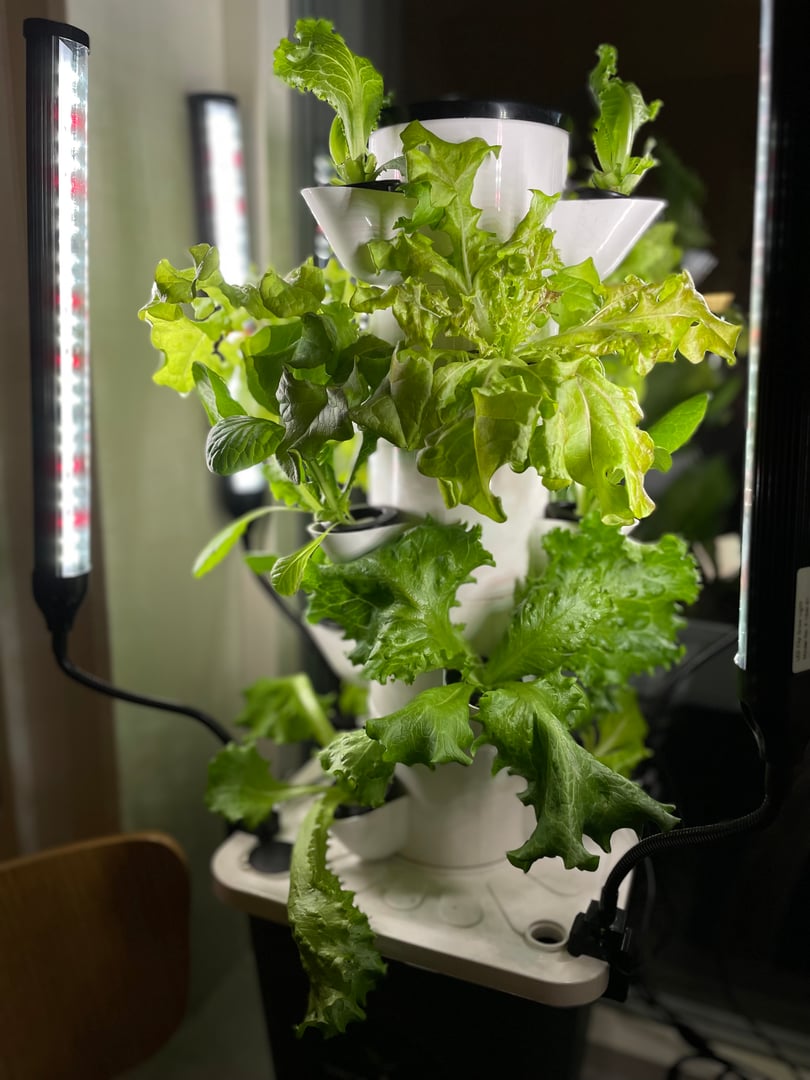 Skystack hydroponics system