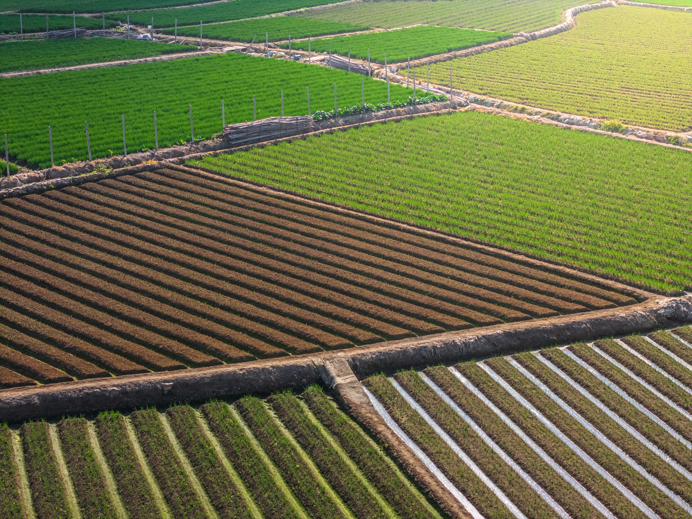 Aerial View of Farmland