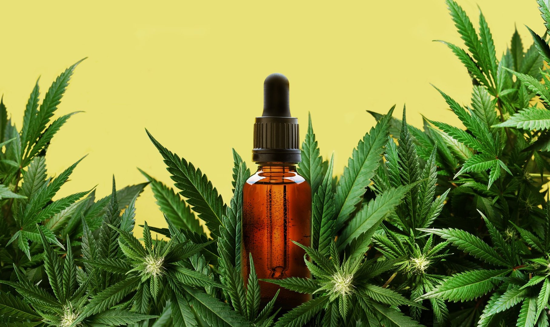 Cannabis Extract Solution