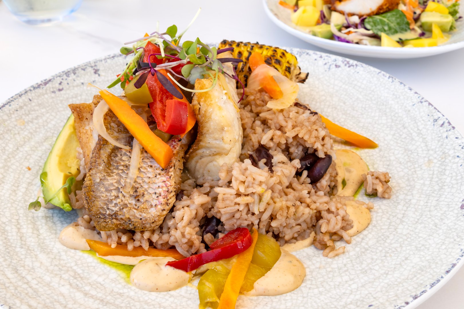 Grilled Red Snapper Filets Served with Rice and Beans, Grilled Corn, Pickled Vegetables, Hummus, Avocado and Topped with Green Sprouts
