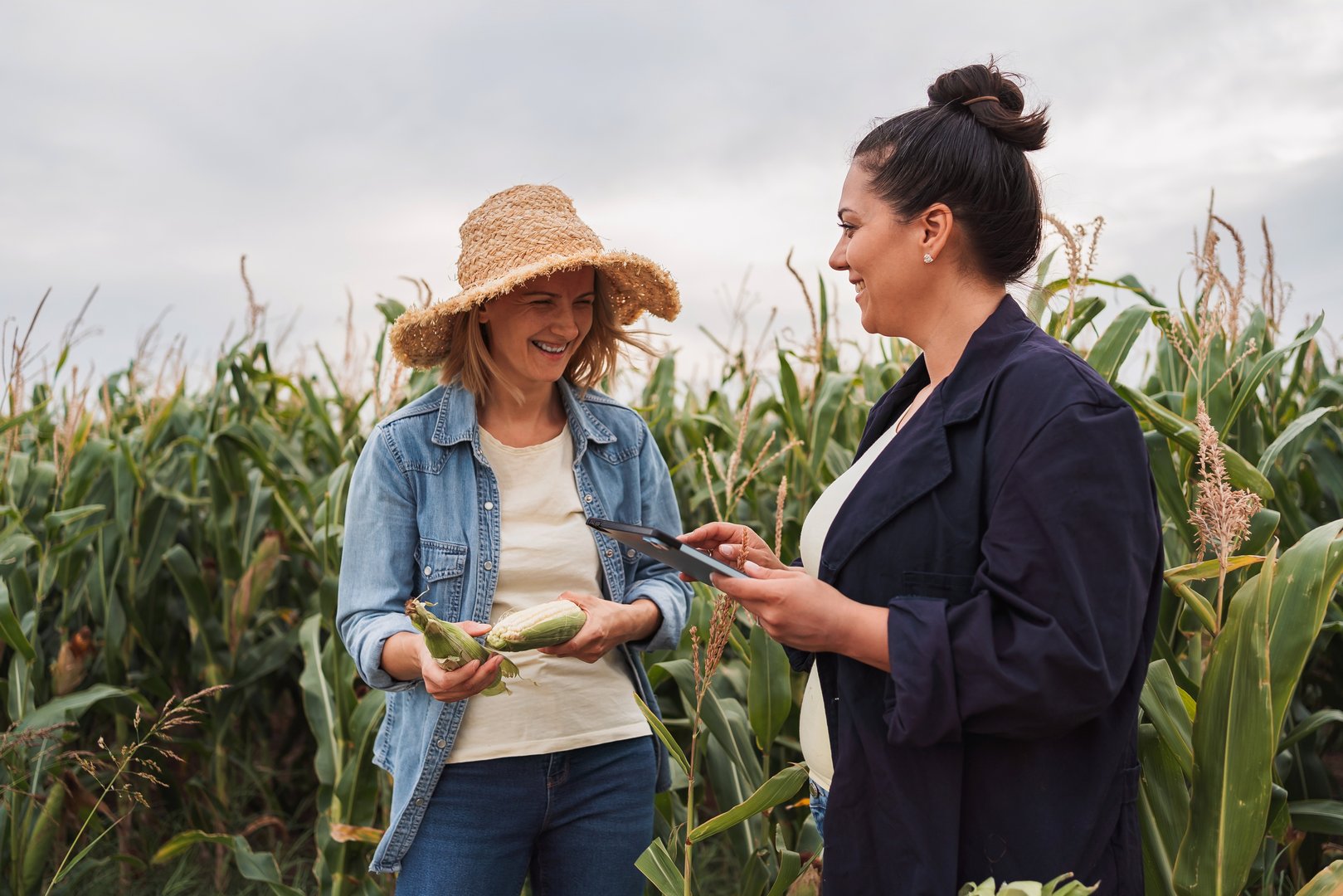 Two women working together in agricultural industry, using modern technologies in farming