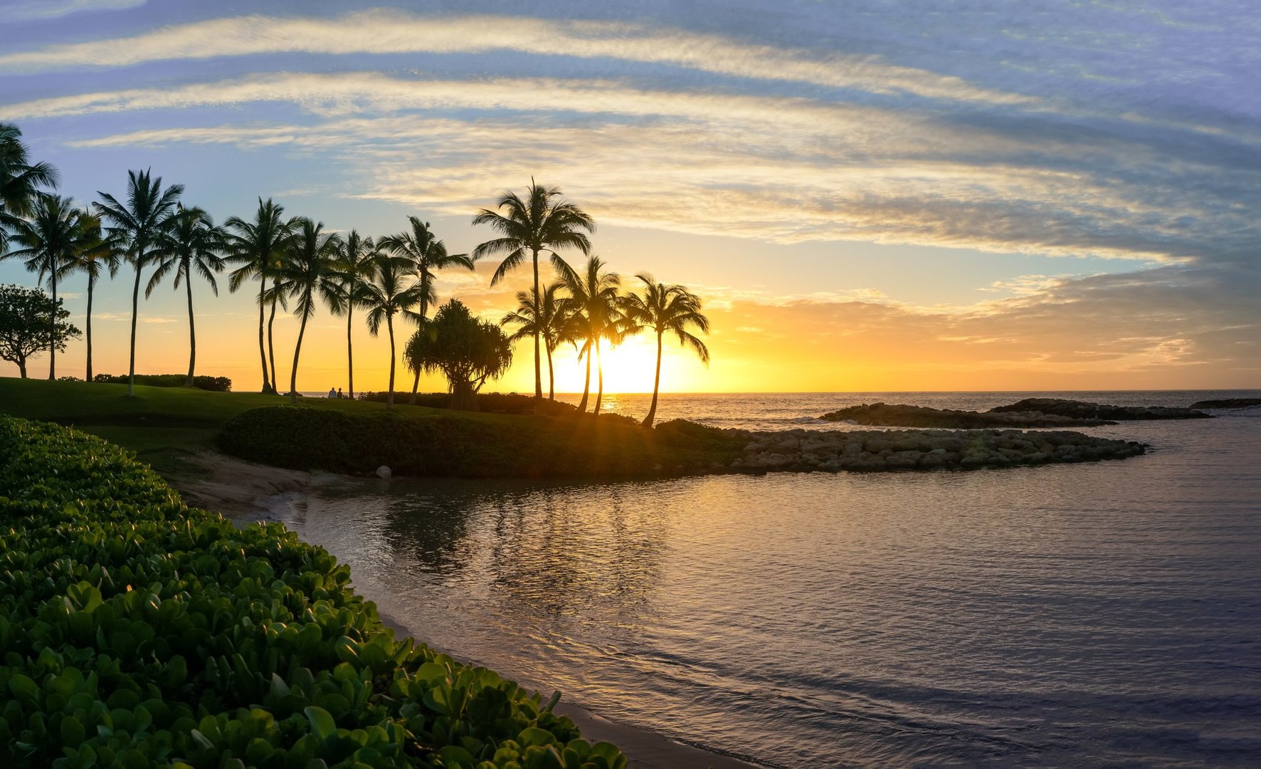 Sunset in Hawaii with palm trees