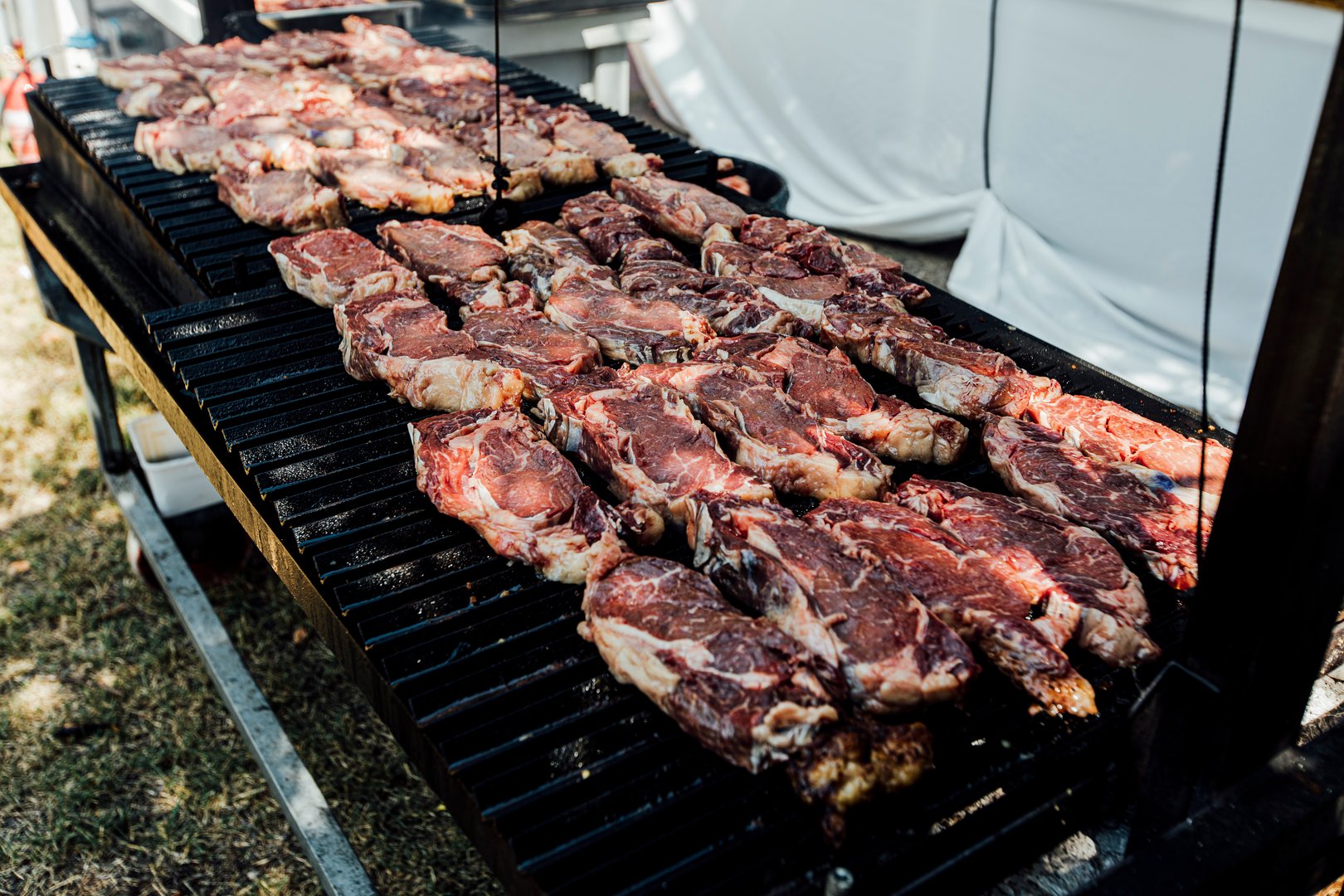 Elegant food photography from weddings and events  grilled meats, fish, vegetables, and vibrant dishes.