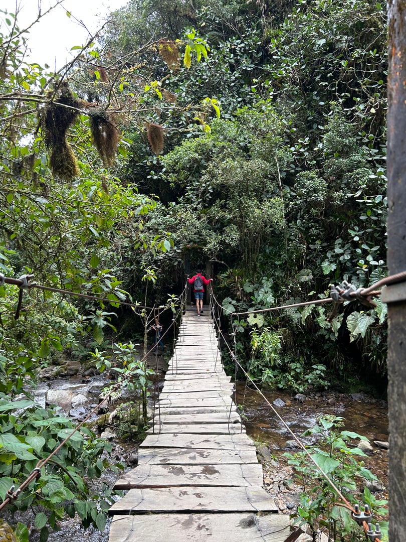 Galería