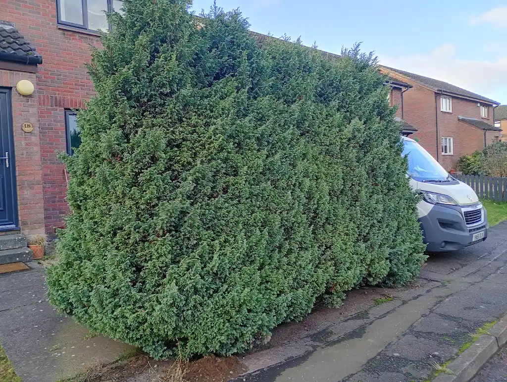 Before maintenance - Project 5