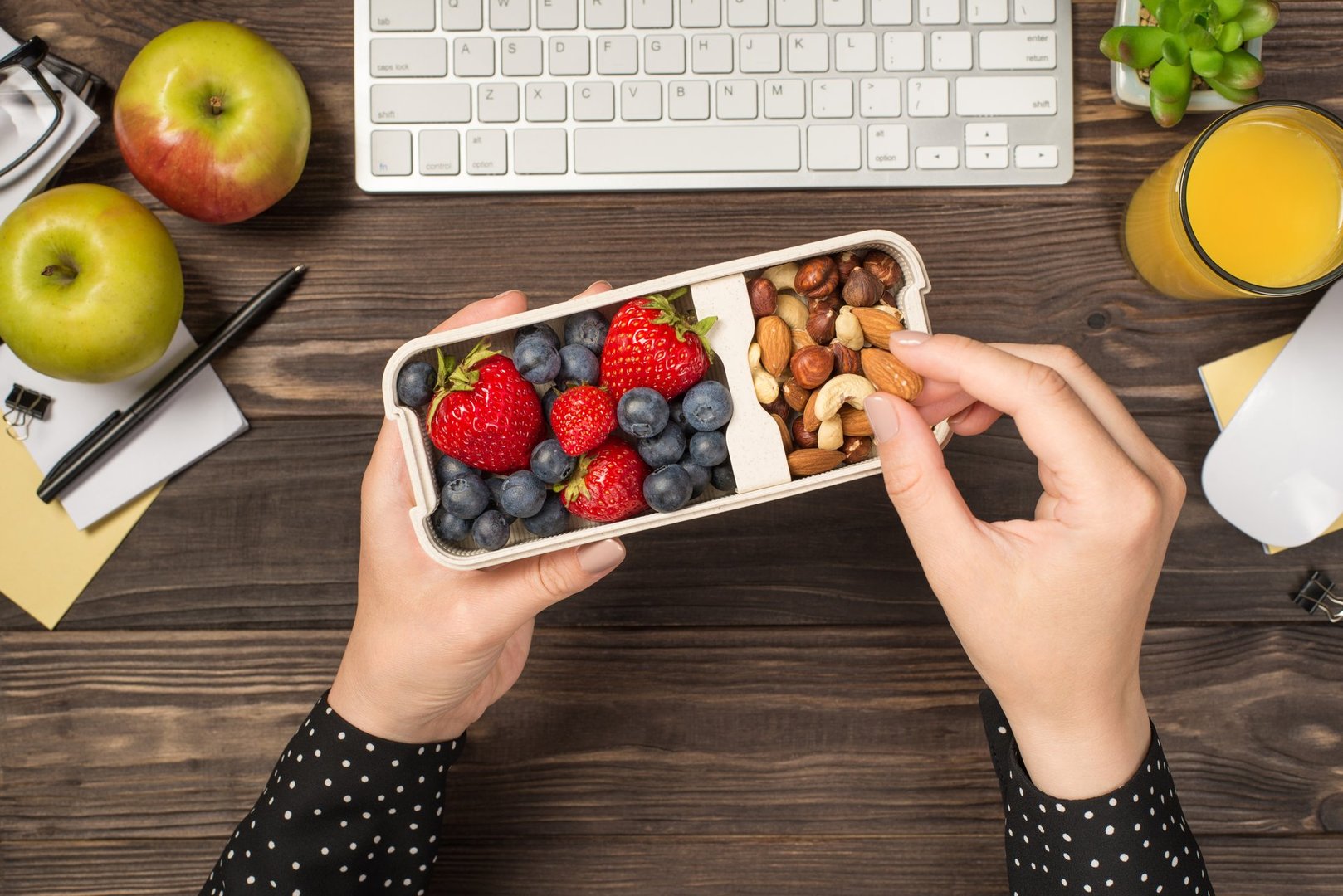 Sugar-Free Meal Replacements