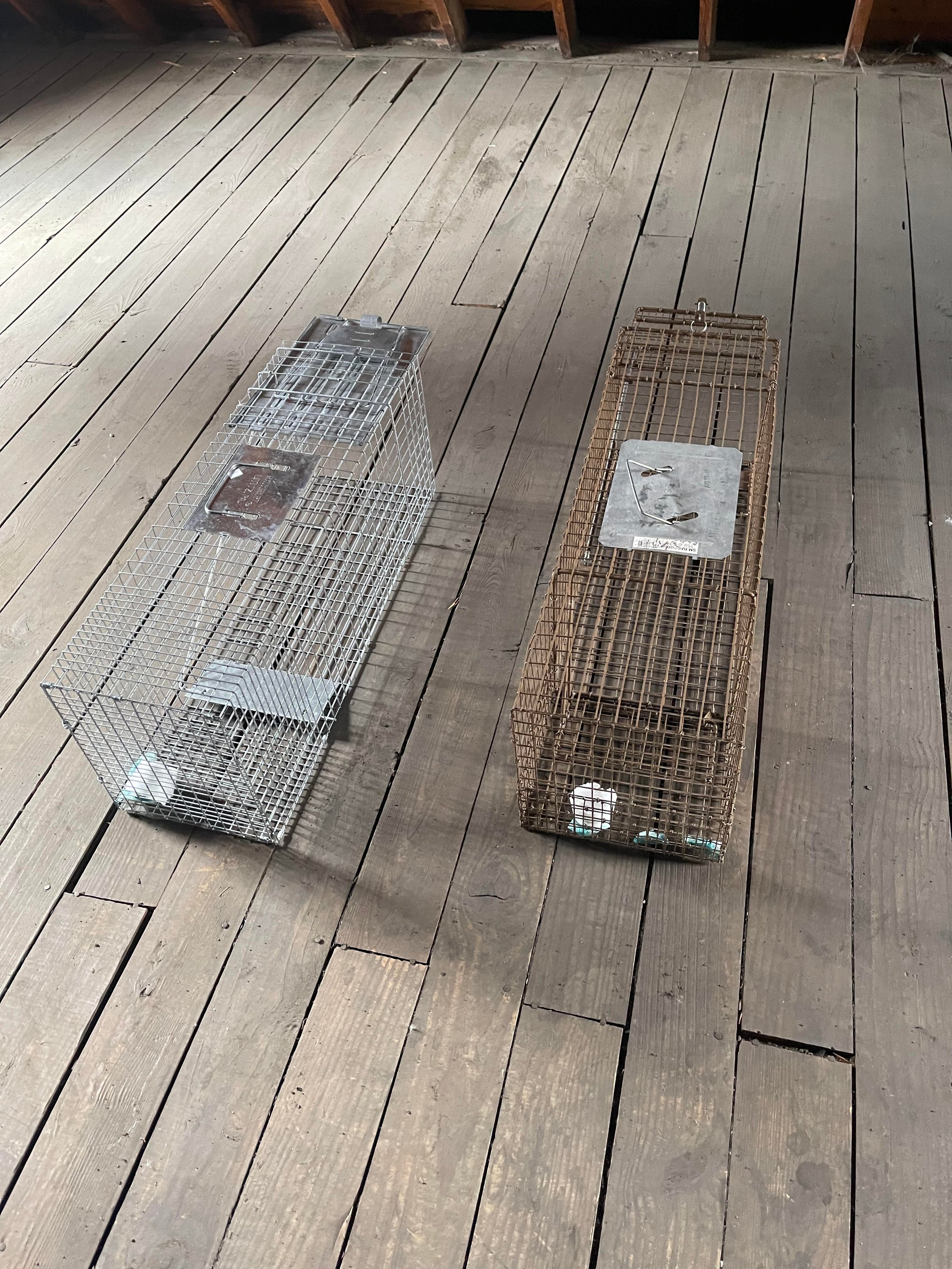 Professional pest control equipment