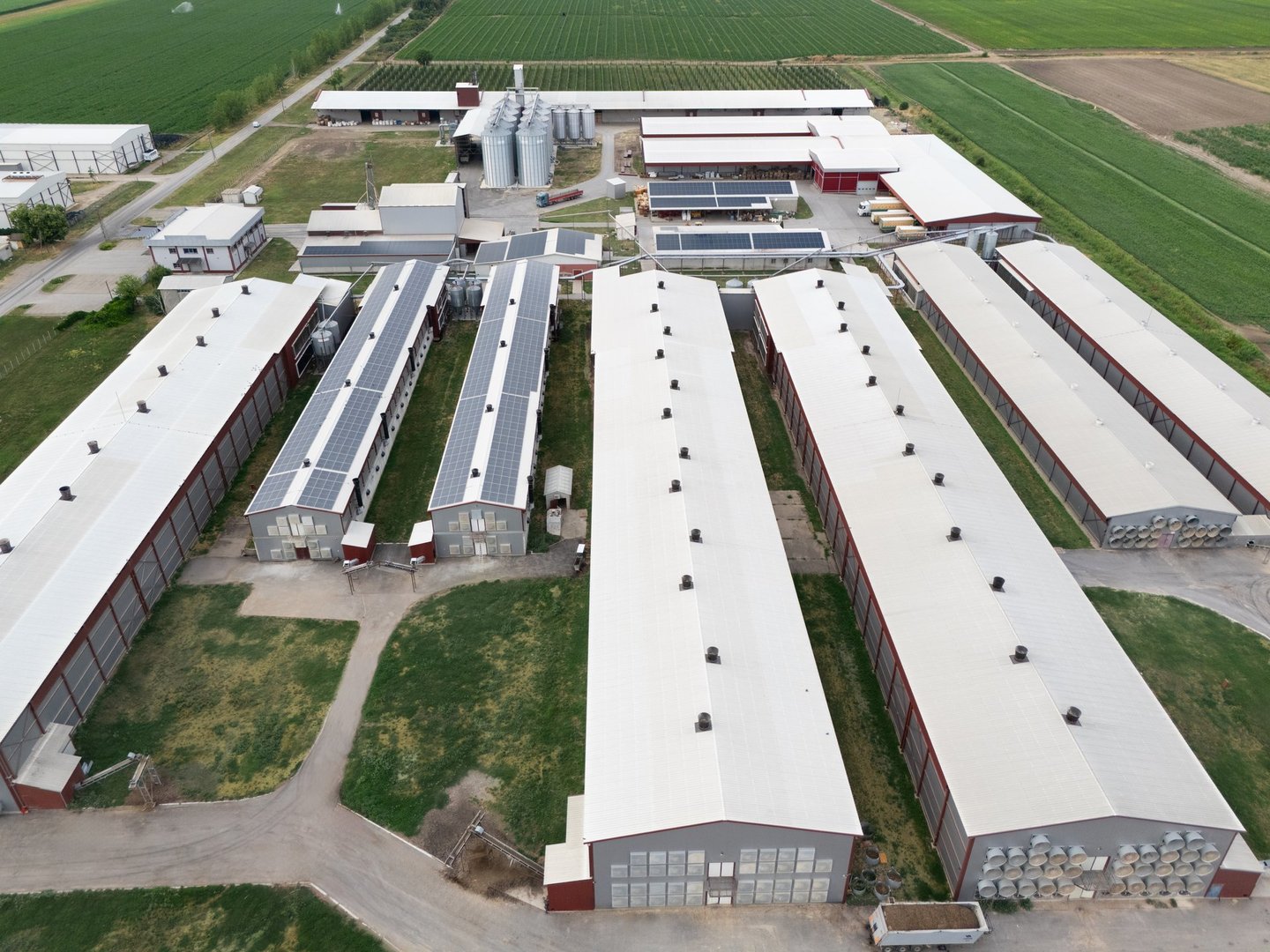 Modern poultry farm with solar panels