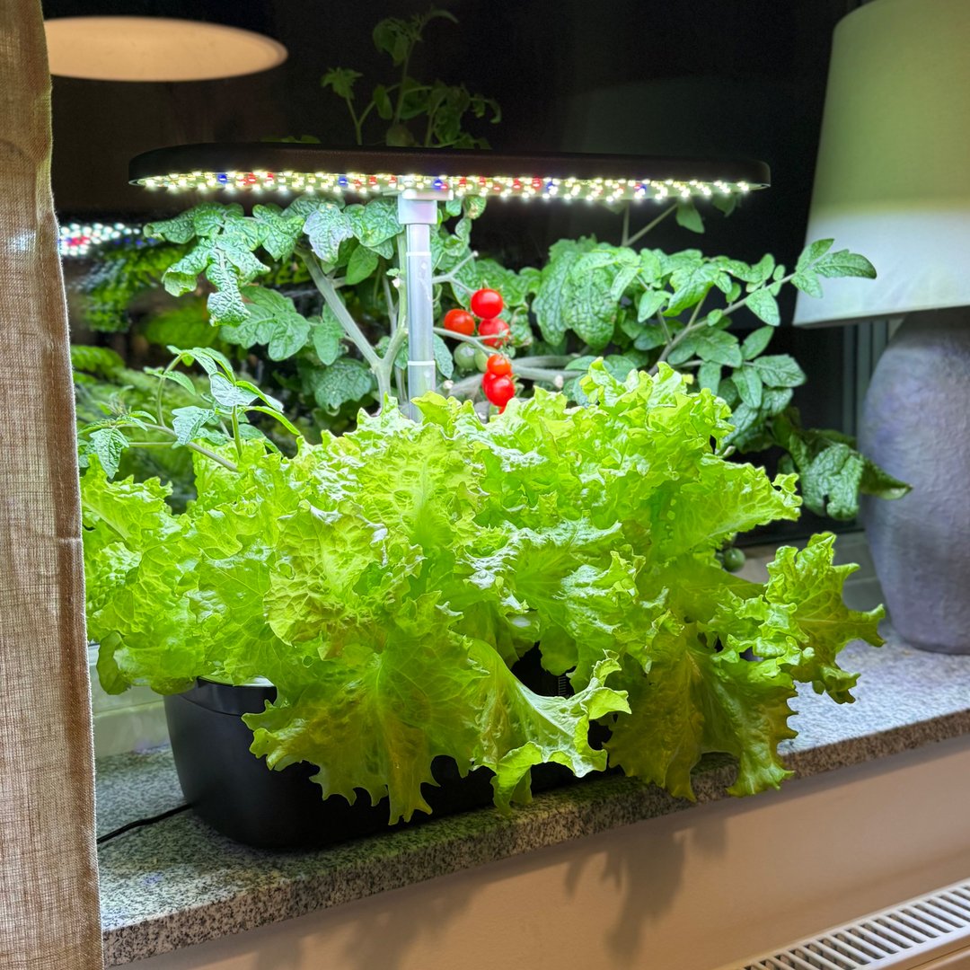 SmoothCrops hydroponisk odling