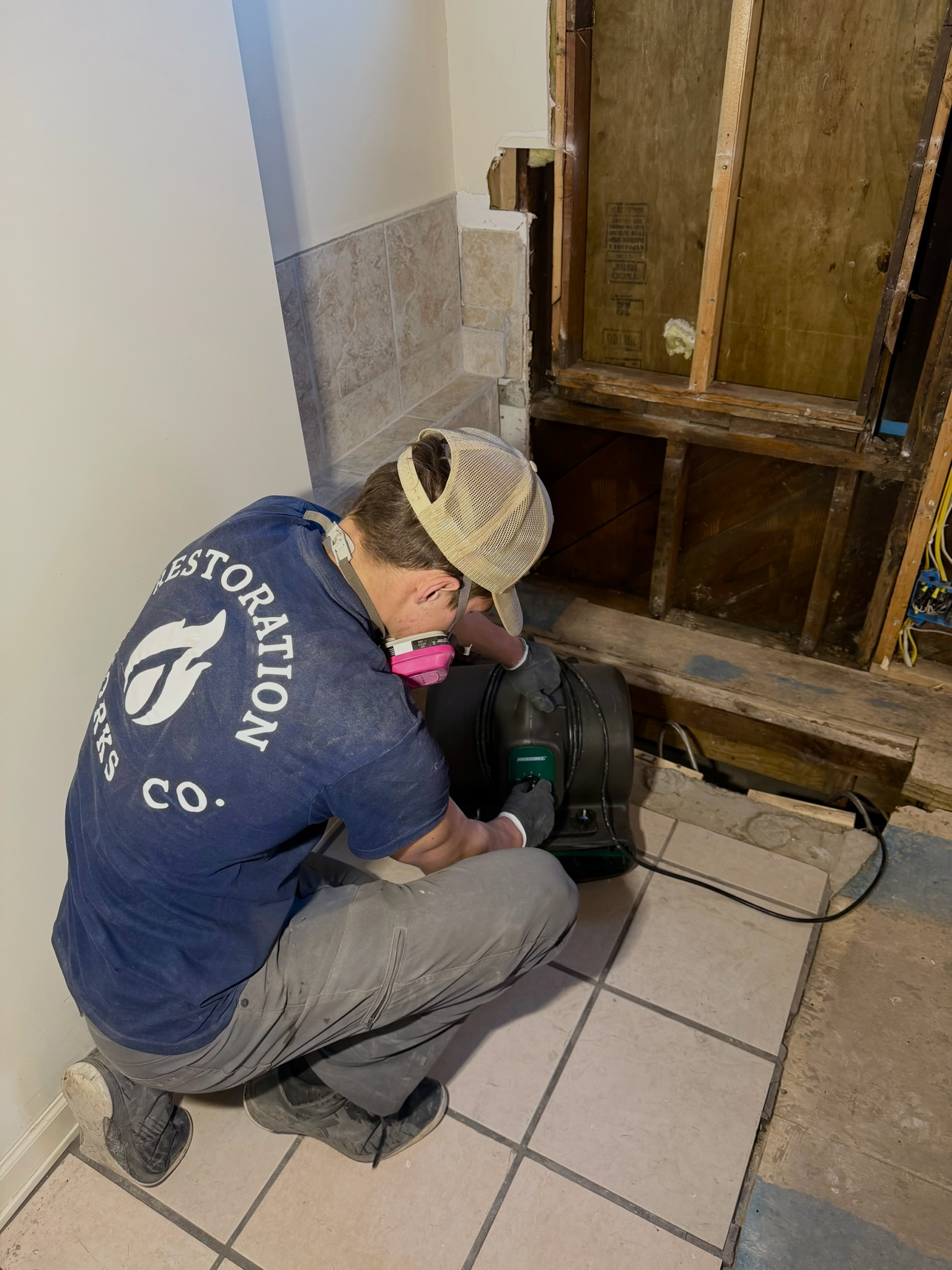Mold remediation professionals working