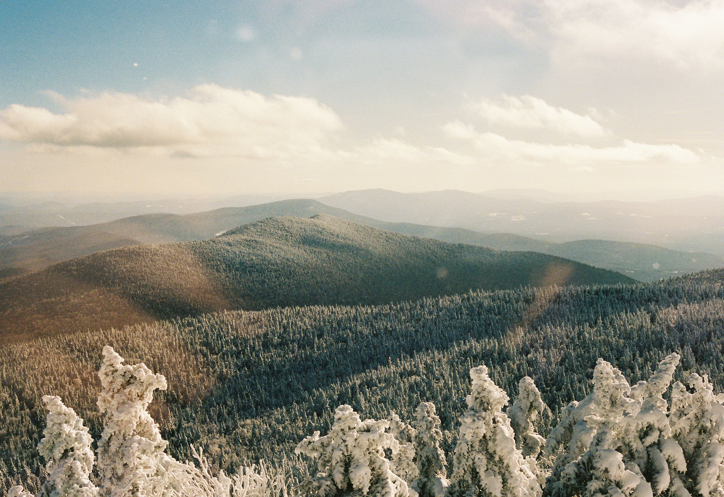 Snow-covered mountains and evergreen trees under a bright sky, representing winter scenery relevant to Anchorage's seasonal maintenance and ice control tips.