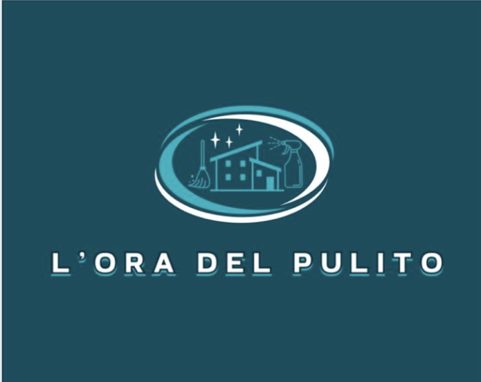 Logo featuring a house, broom, spray bottle, and sparkles with the text NS CLEANING on a turquoise background.