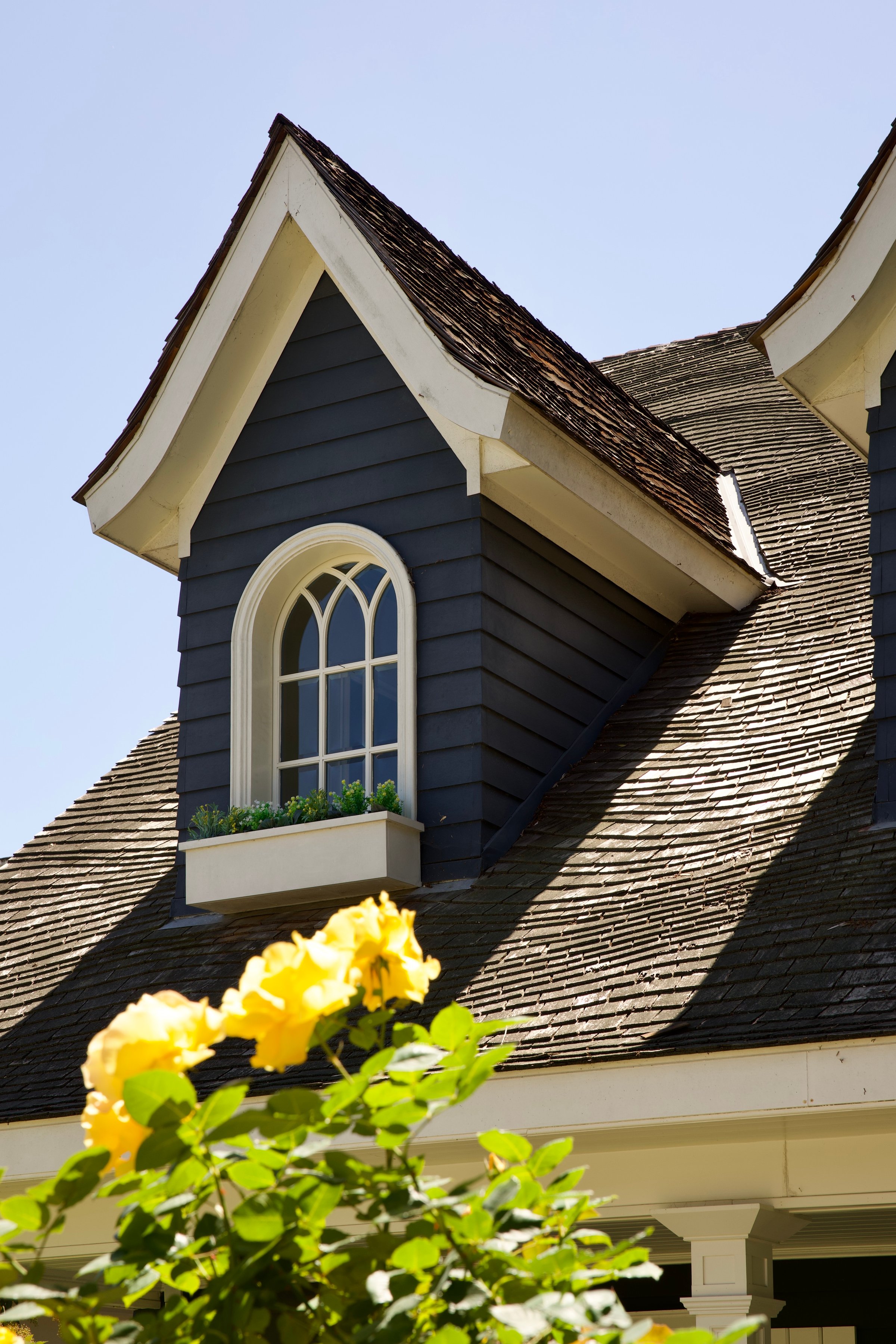 Coronado property roof
