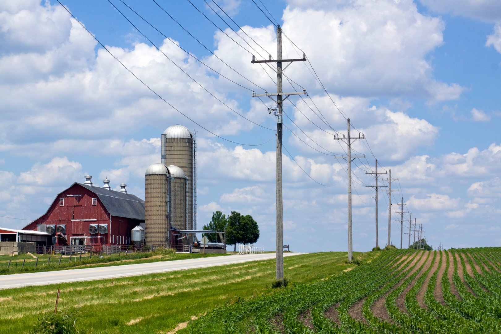Red Barn and Crops by Road with Power Line