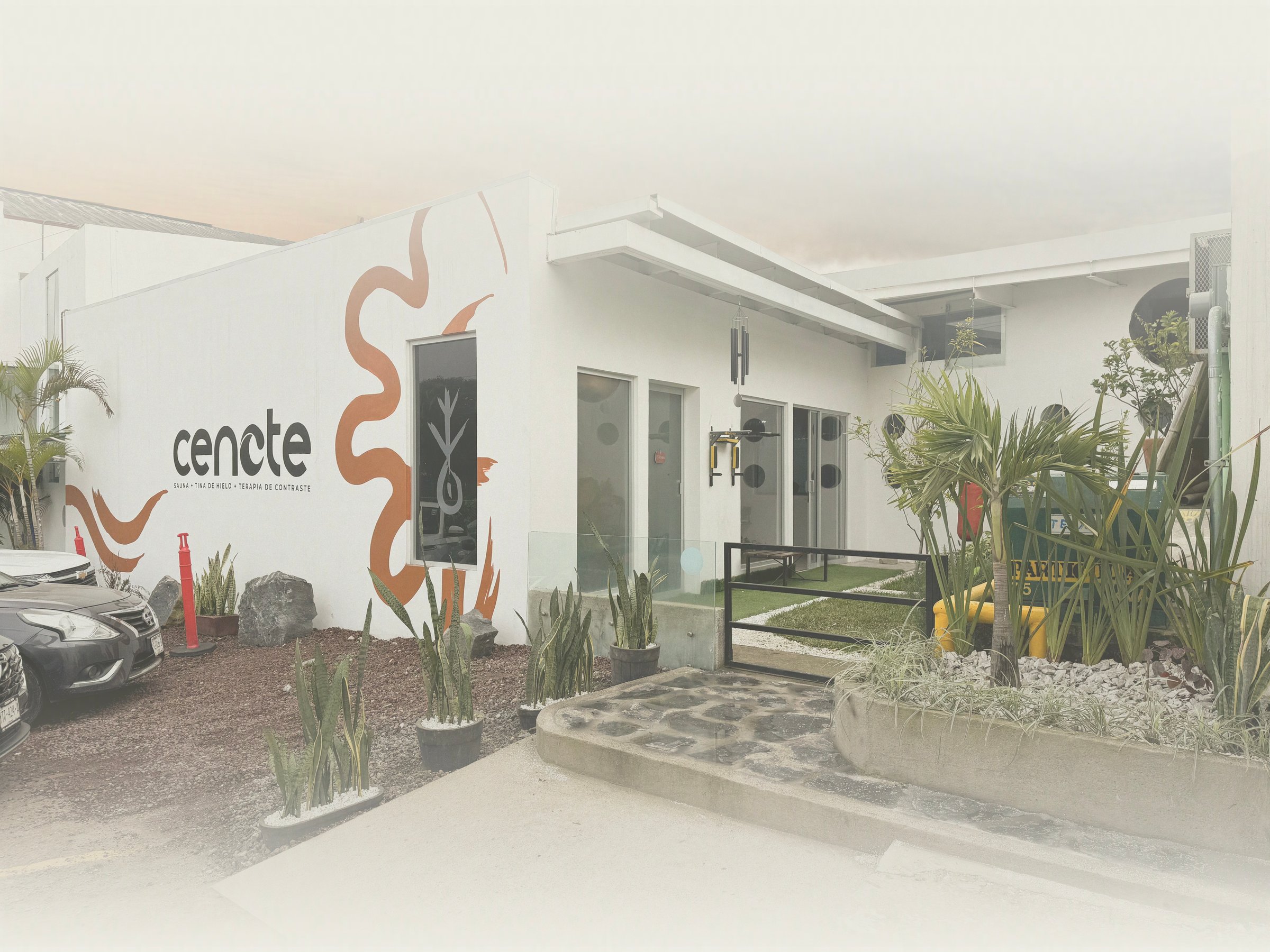 Modern white building with 'cenote' logo, featuring abstract wall design, plants, and parked cars. Tropical decor visible.
