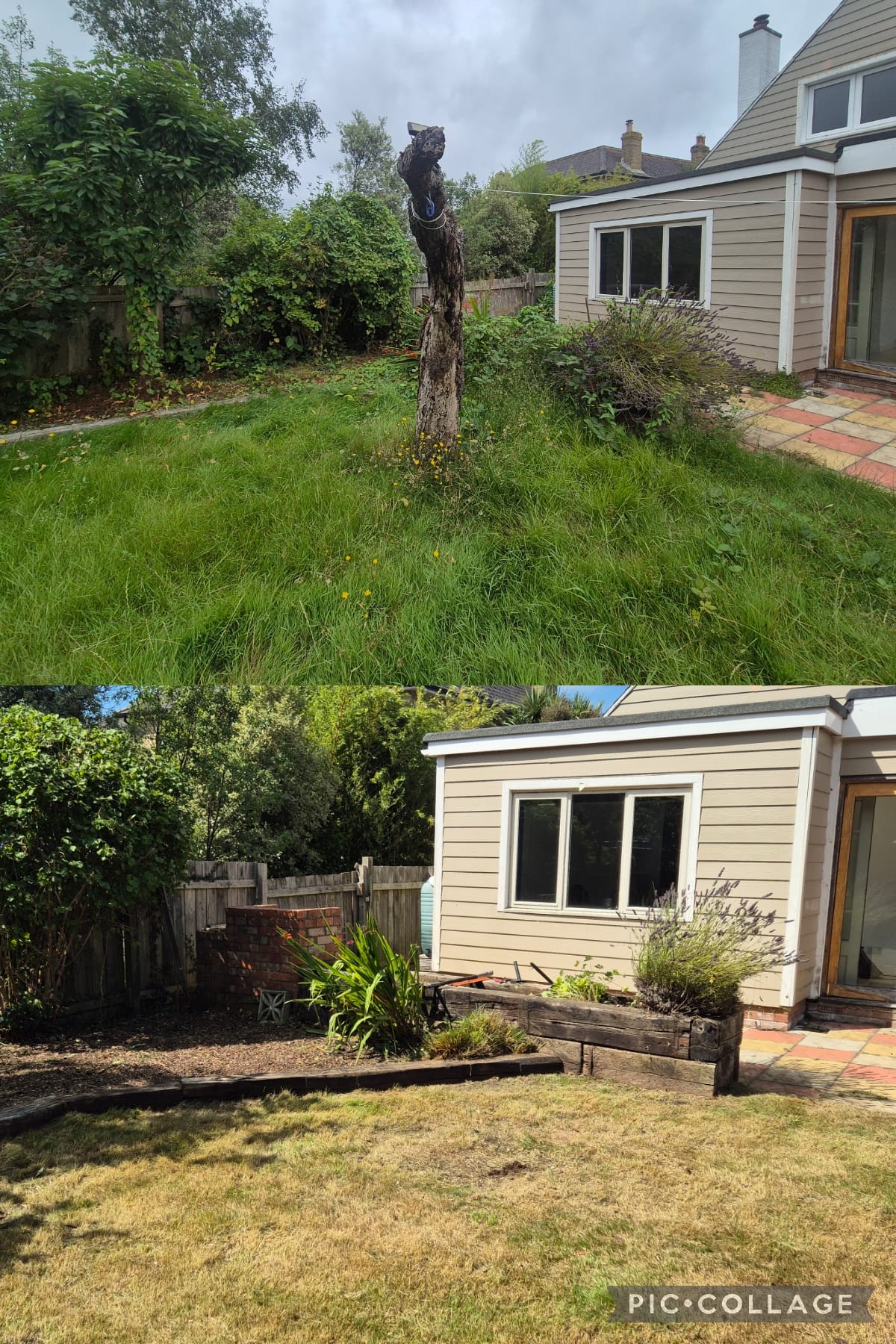 Garden project 4