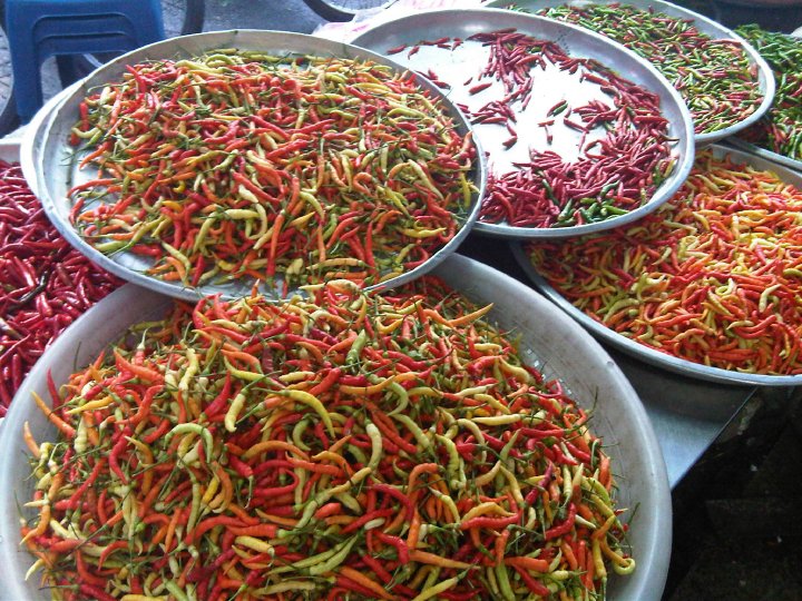 Thai Yellow Curry with Chicken