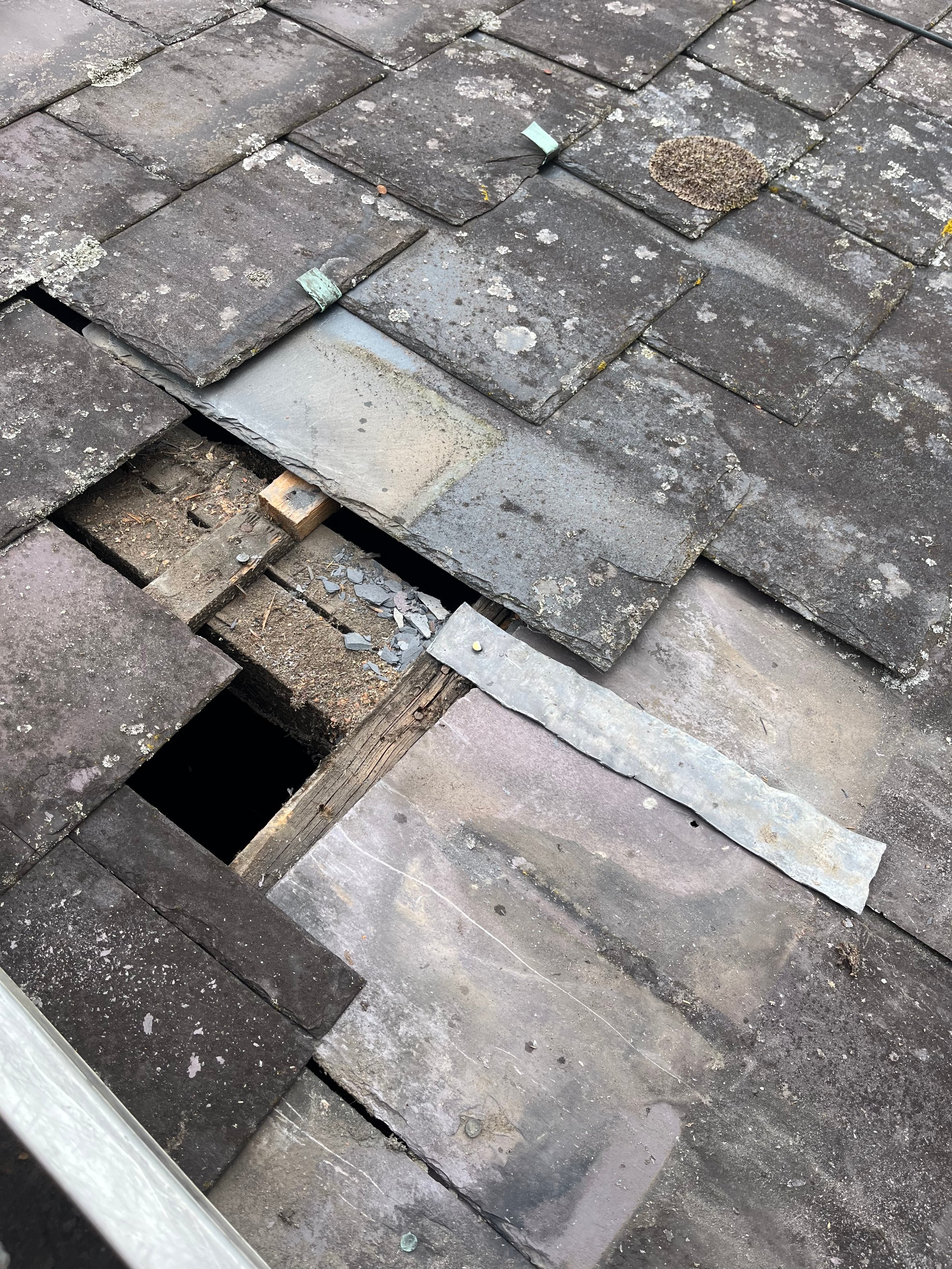 Roof repairs service