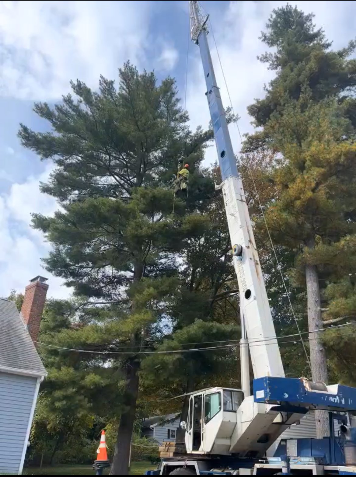 Above & Beyond Tree Care professional equipment