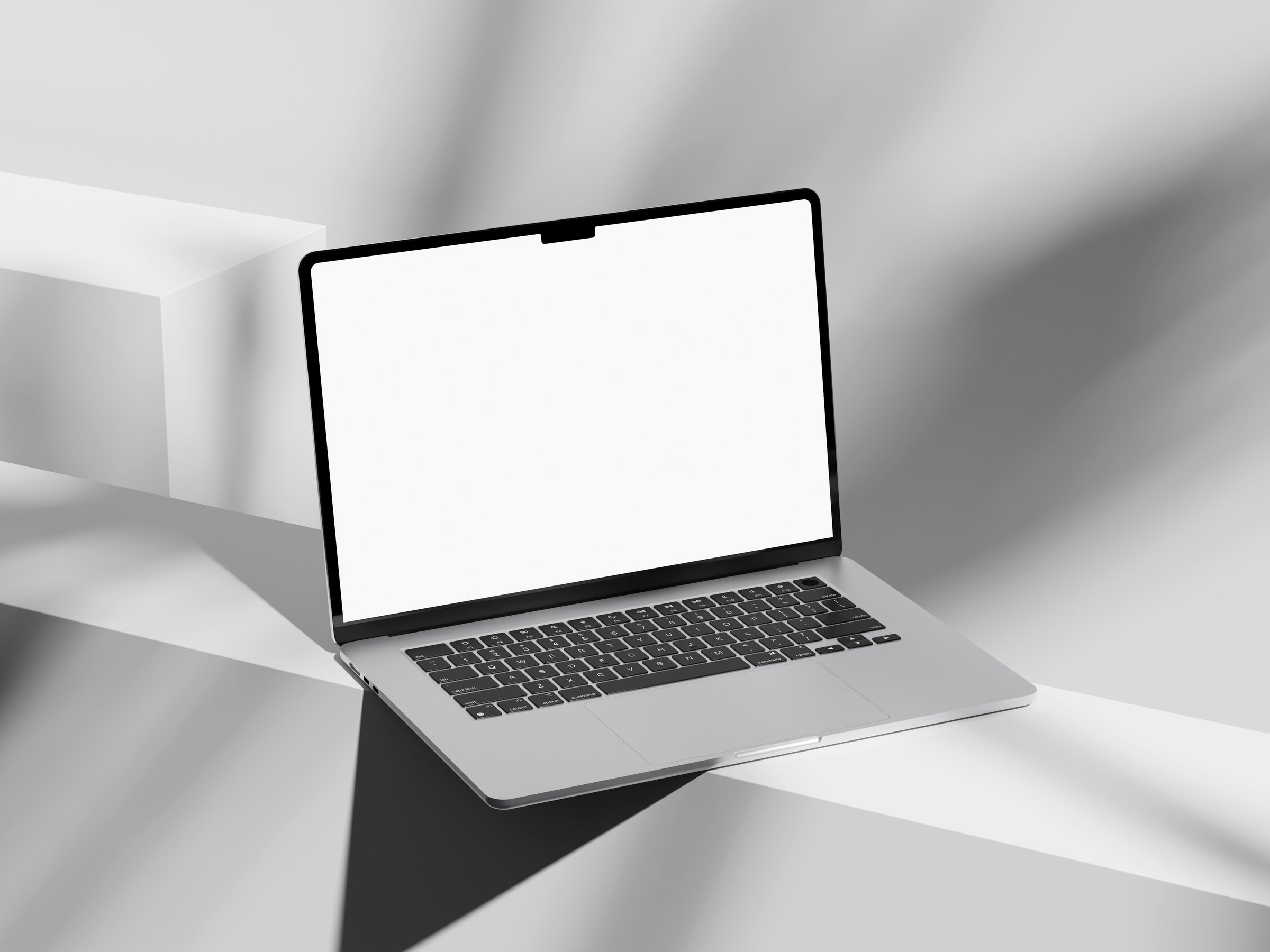 Minimalist laptop with soft shadows from plants around it