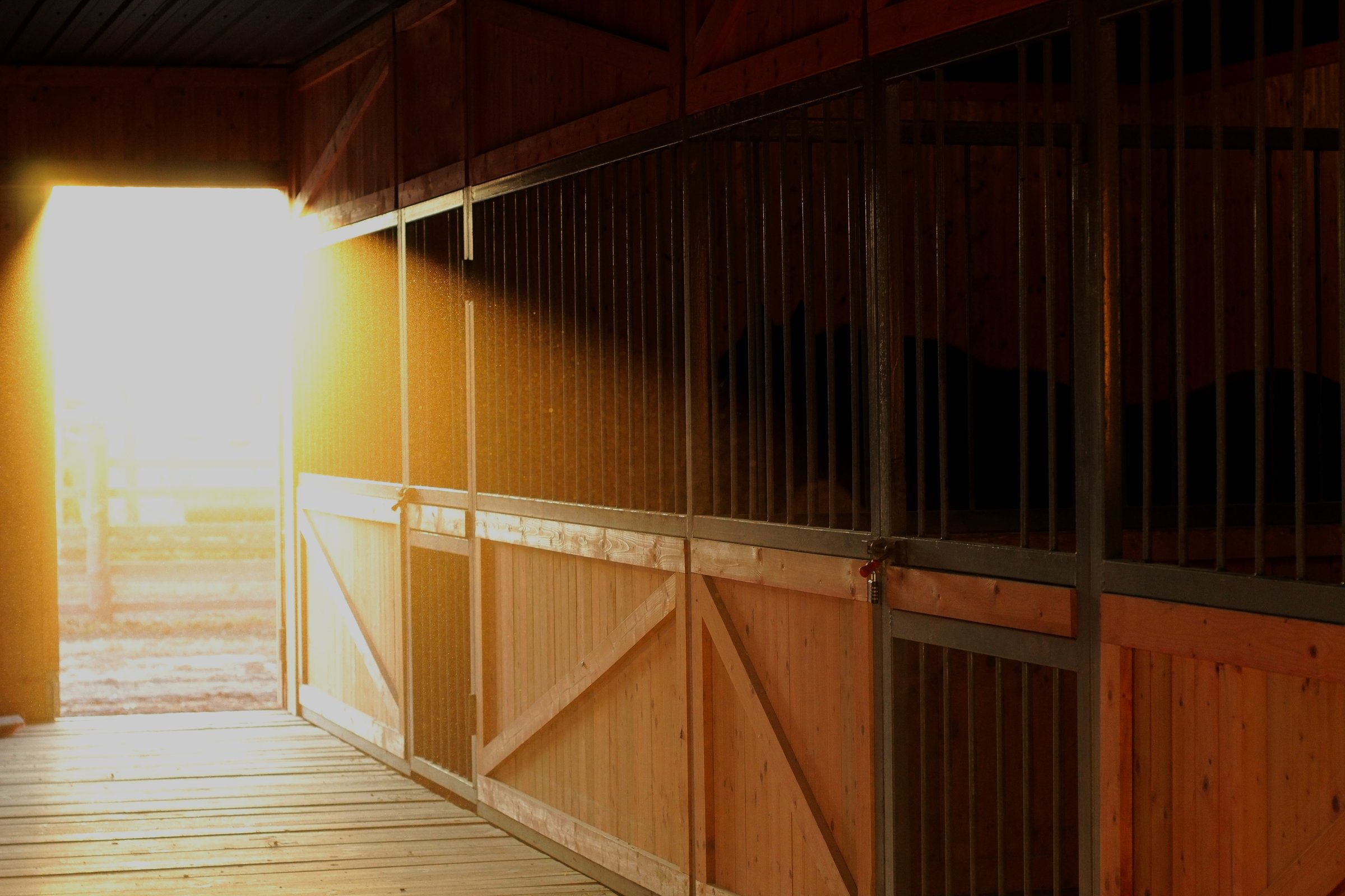 Sabrina Paardrij Coaching stal