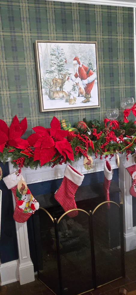 Store gallery showcase