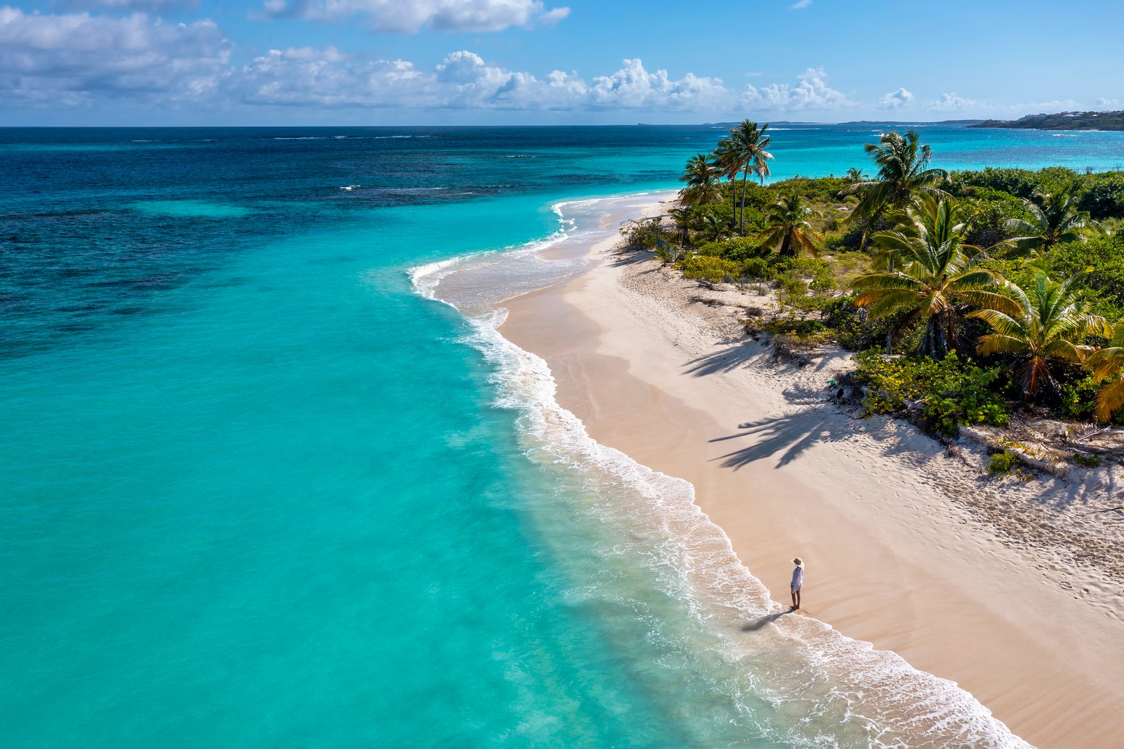 Aerial view a woman gazing out over the ocean along the shoreline of Shoal Bay Beach with crashing waves and palm trees on the island of Anguilla.