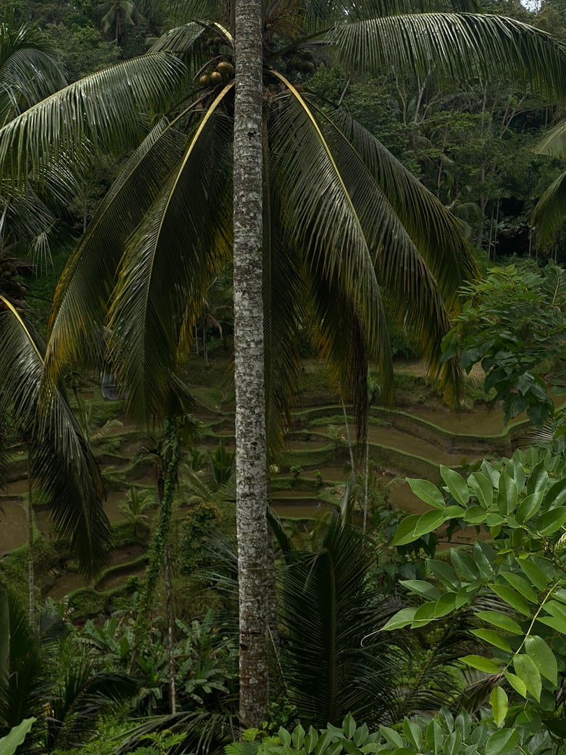 Retreat Journey to Your Higher Self