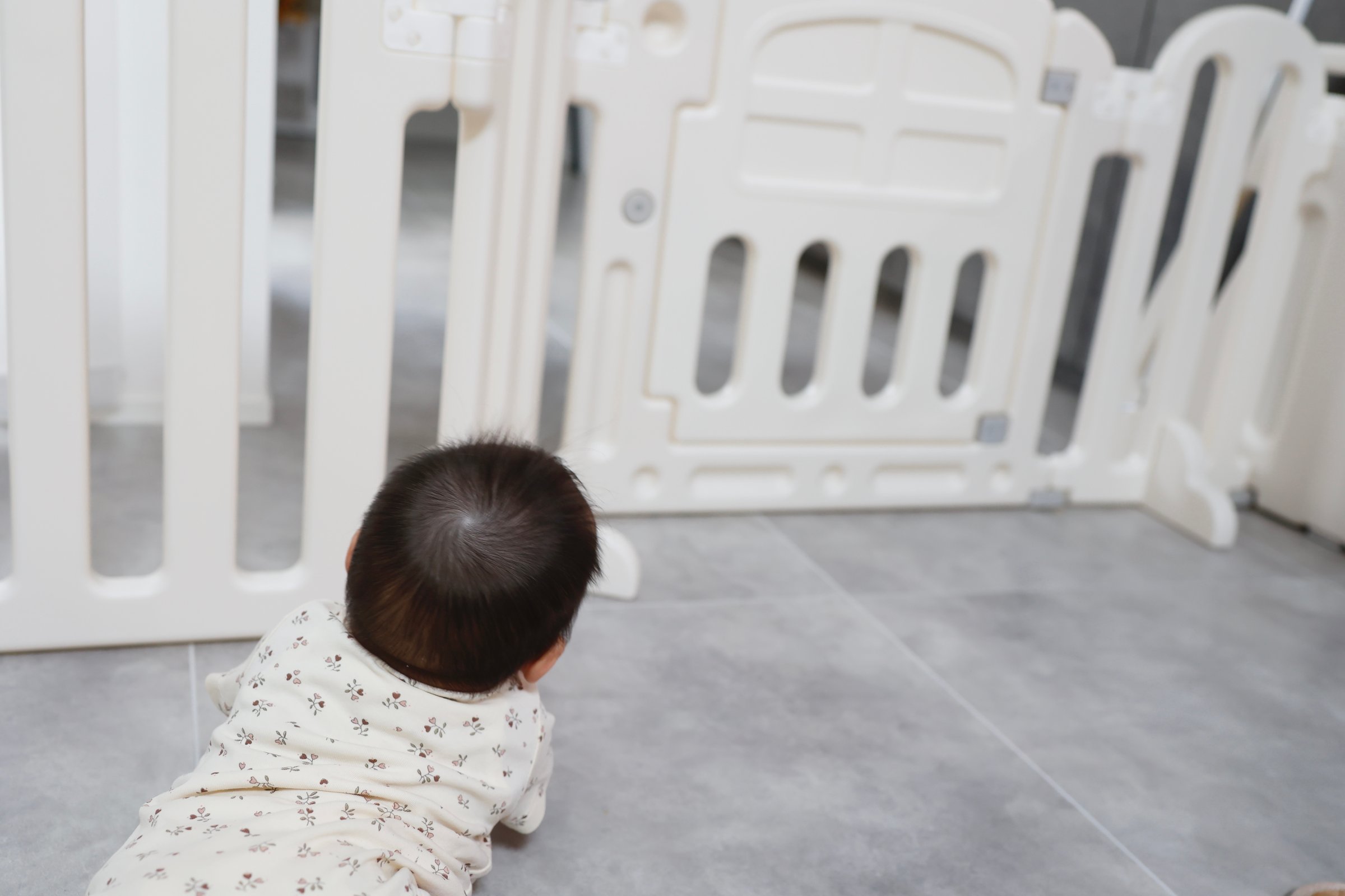 A view of a baby's back as he looks out from inside a baby gate.