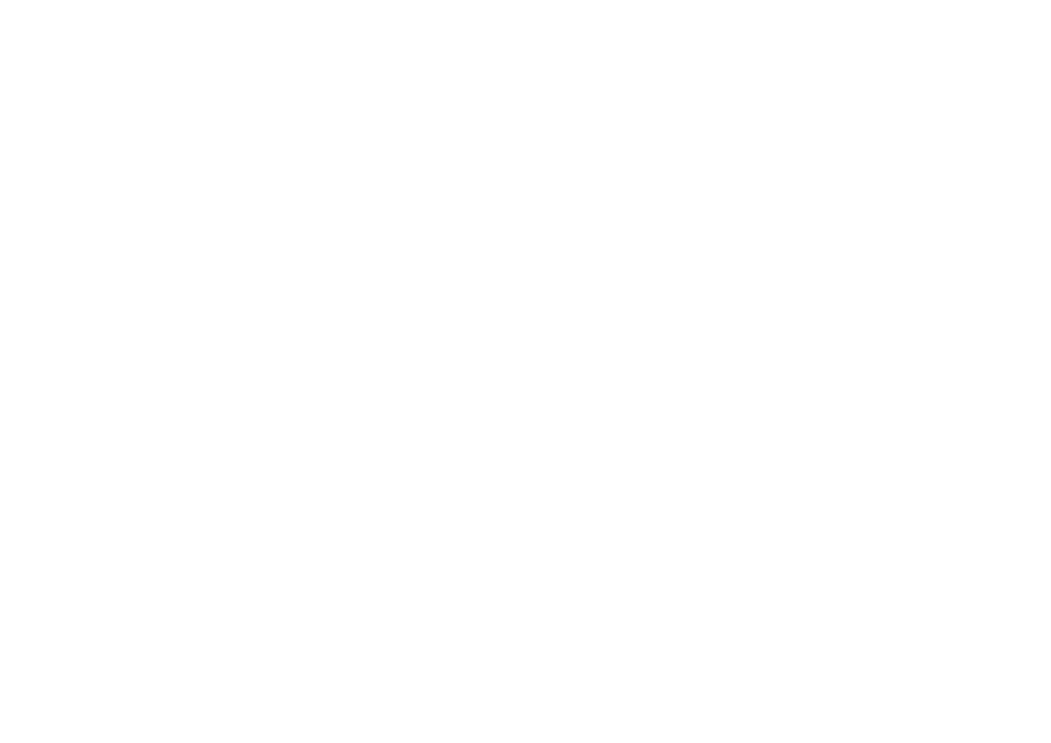 Punt Caravan Parking Logo