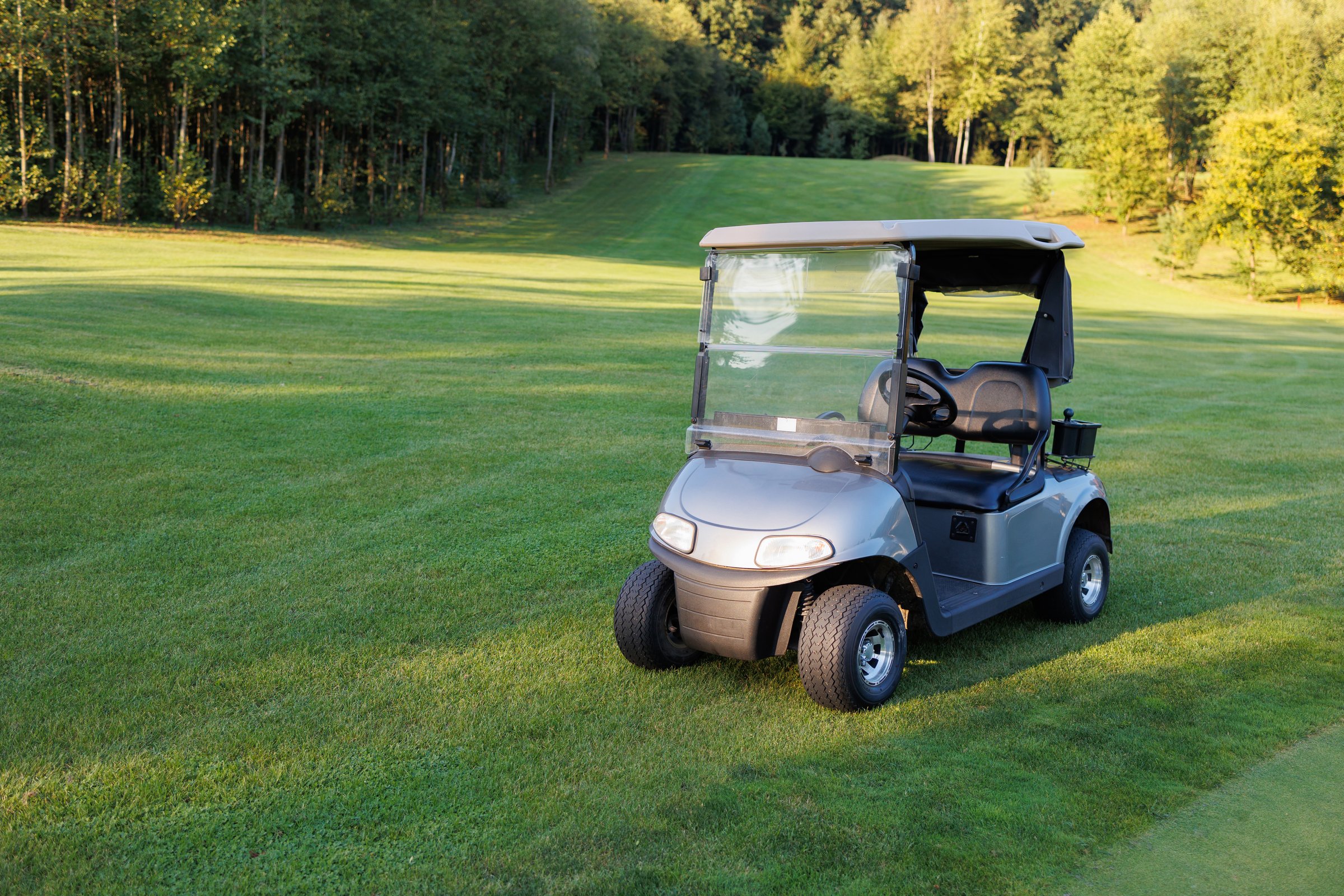 Scenic Golf Cart Amidst Lush Greens