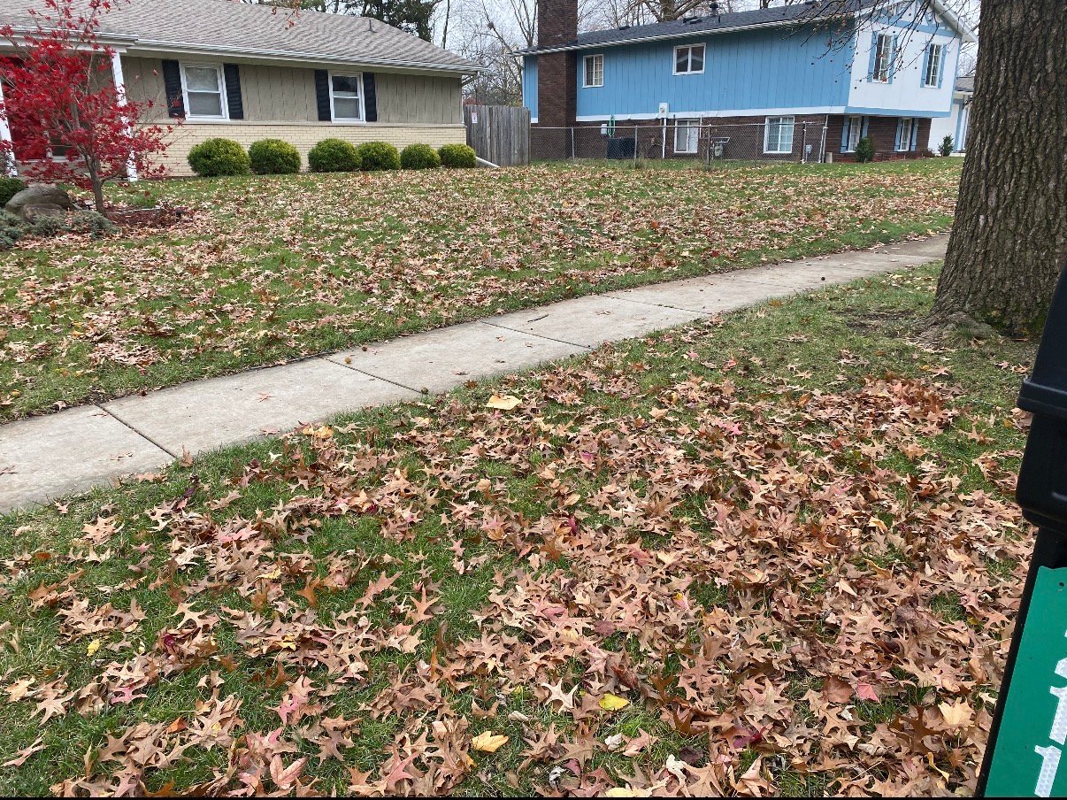 Concrete driveway project