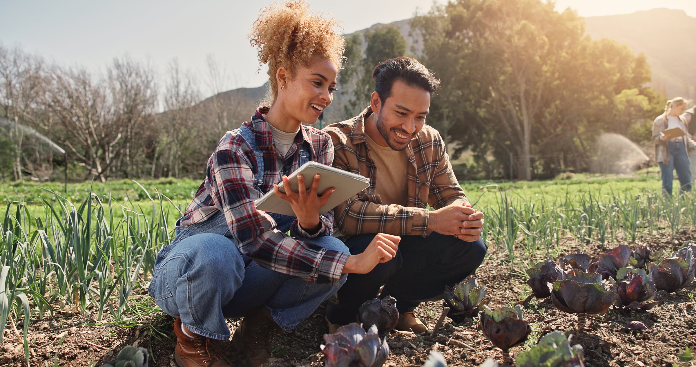 Farming, tablet or team by crops for inspection, development or quality assurance for sustainable business. Woman, man or technology by cabbage plant for growth, planning or checklist for agriculture