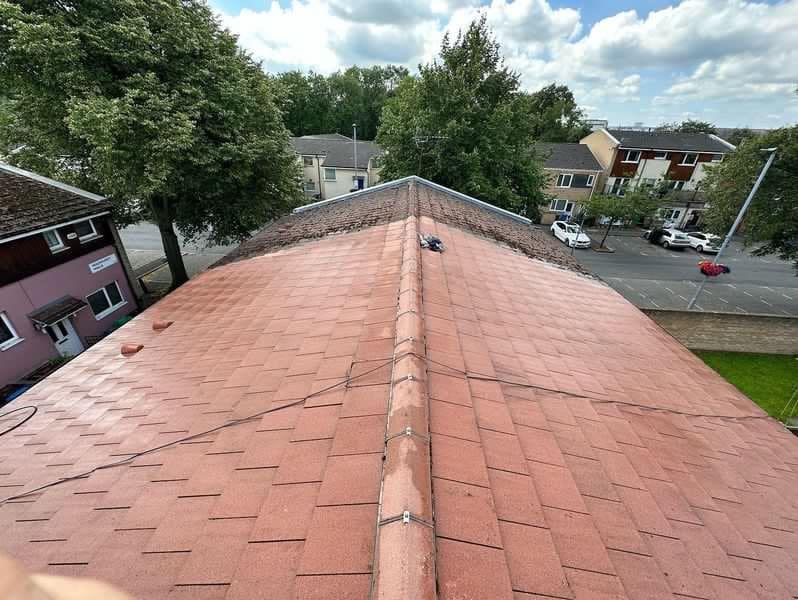 Roof after cleaning