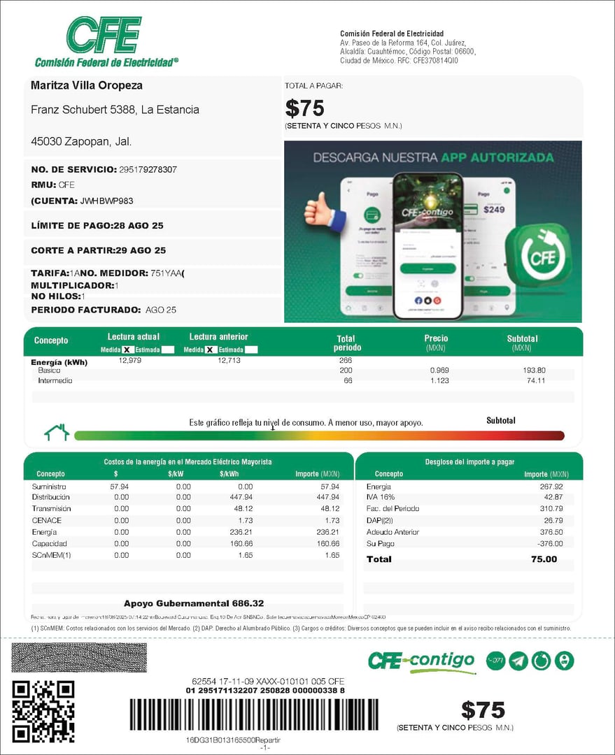 Recibo CFE mínimo real