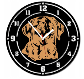 Zegar pies labrador retriever