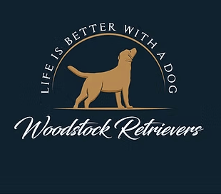 Woodstock Retrievers