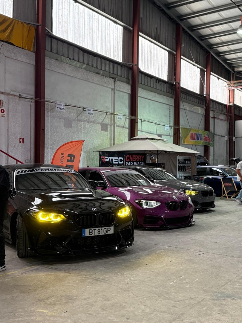 Serviços automotivos profissionais