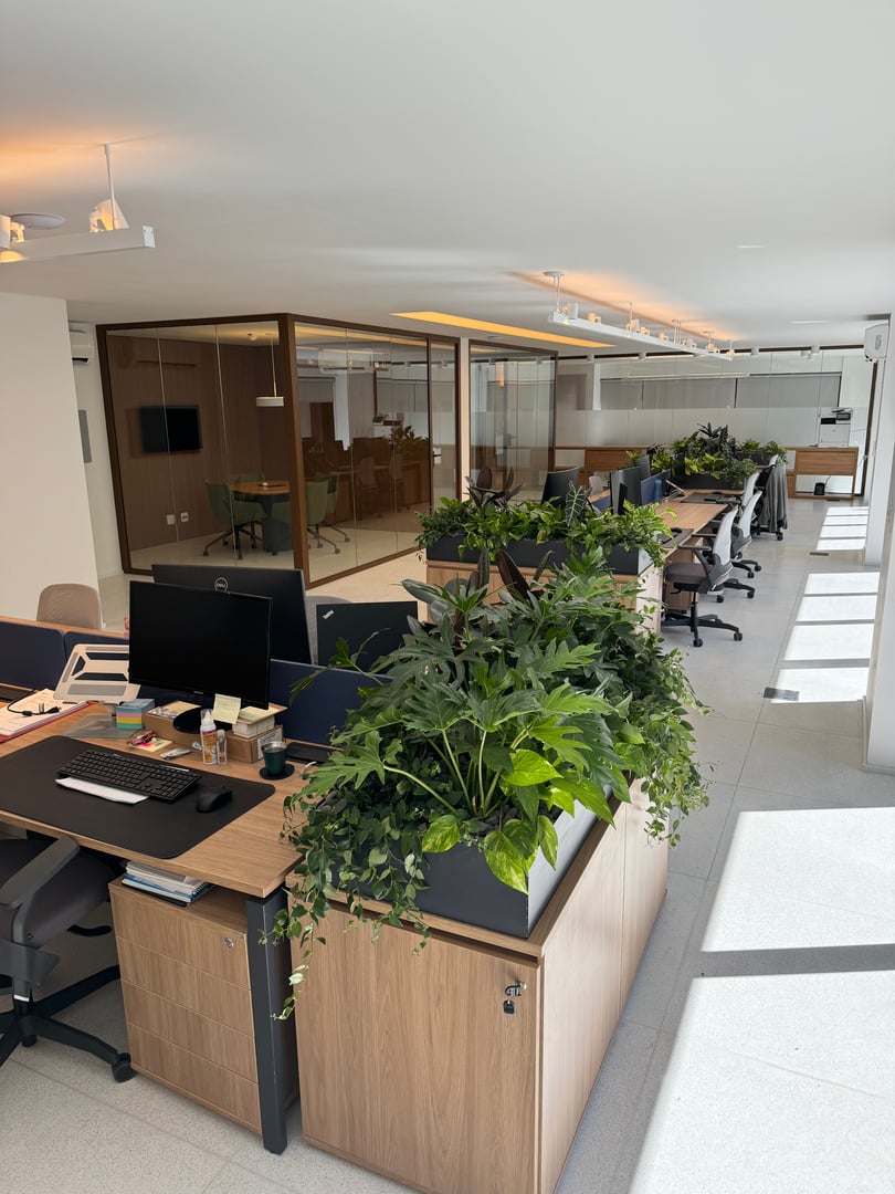 Corporativo Sombra Boa