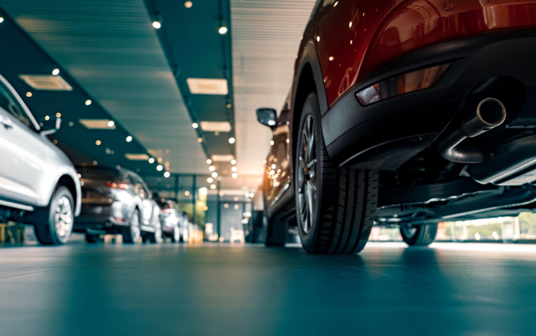 Vista trasera de autos estacionados. Oficina de concesionario de autos. Auto nuevo estacionado en sala de exhibición moderna.