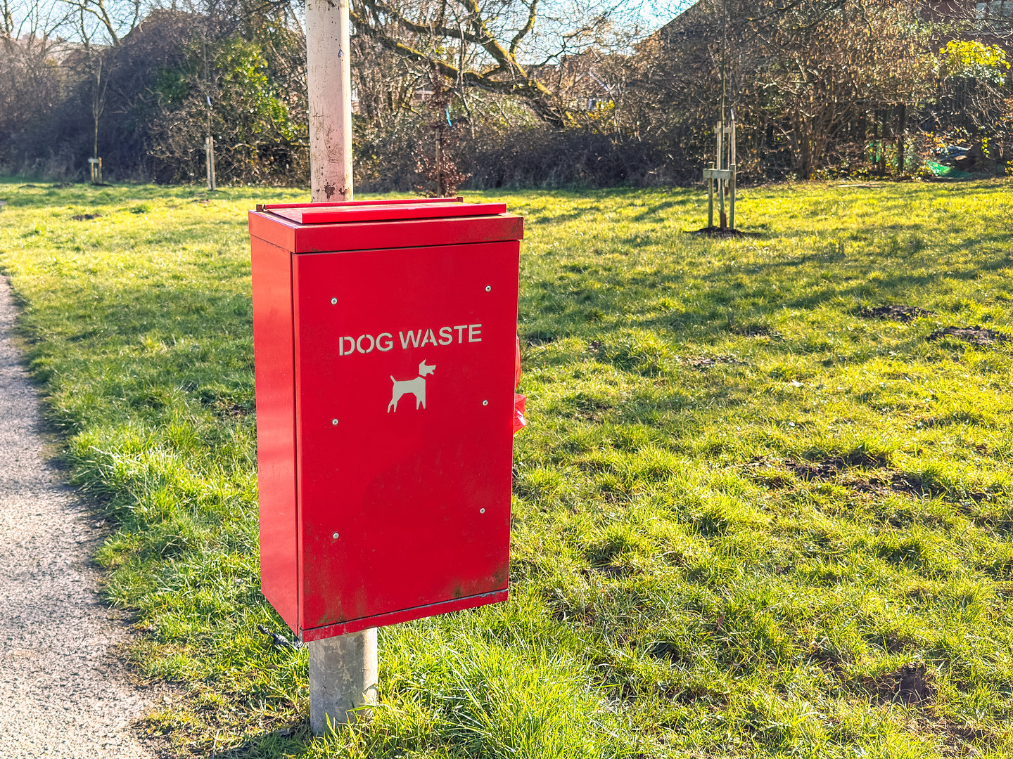 Dog waste bin in park