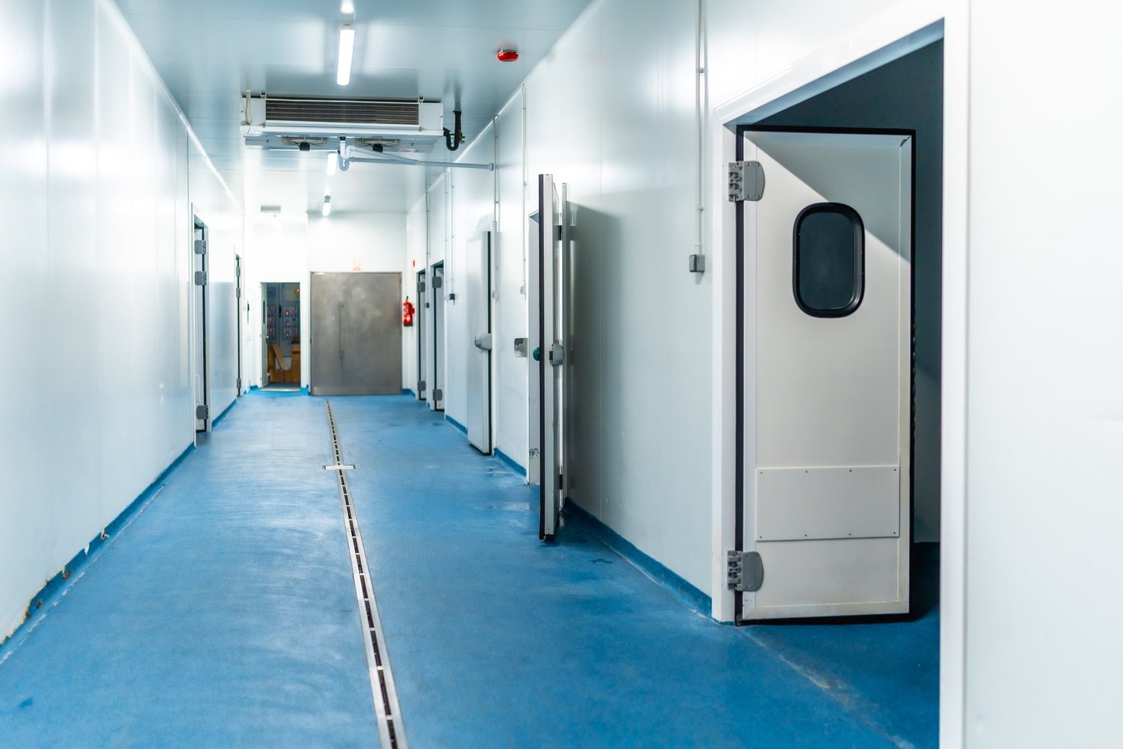 Câmaras refrigeradas de indústria de processamento de carne