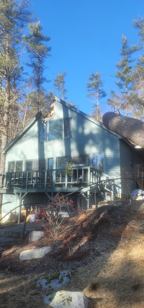 After tree care service