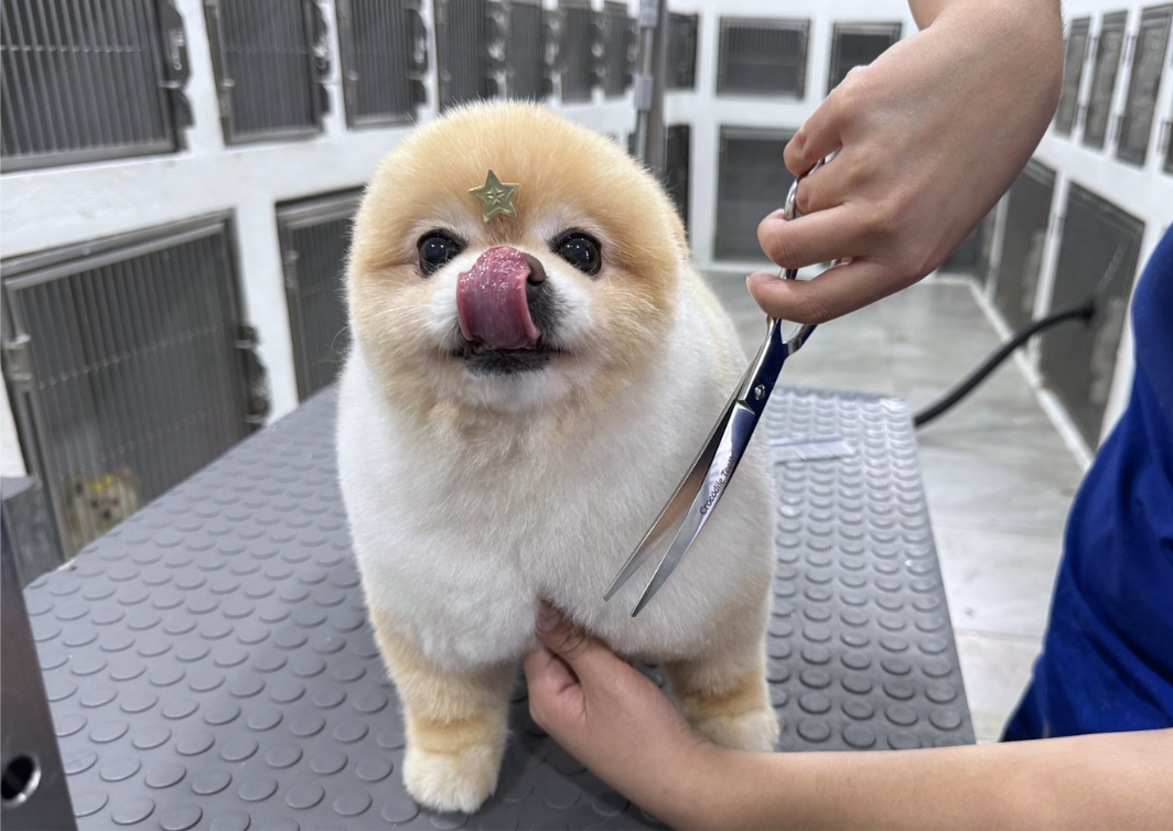 Estética & Spa - Huellitas Resort