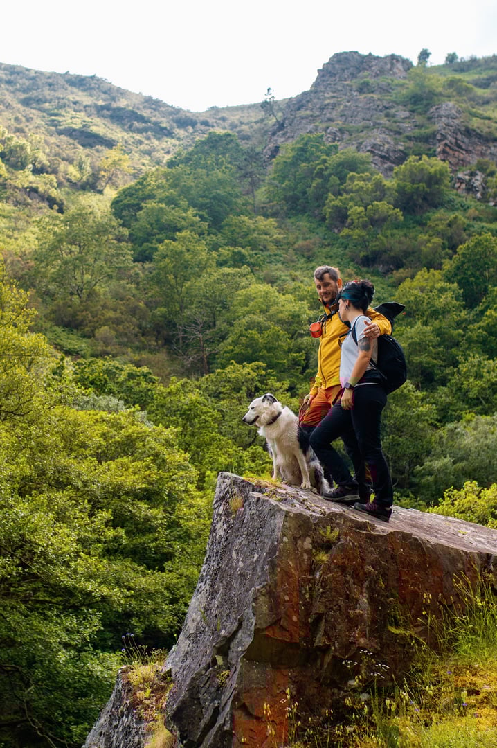 Couple of hikers hugging each other standing on a rock overlooking the lush forest during a day of hiking in the mountains with their bordr collie dog. Hoces del Esva route, Asturias, Spain