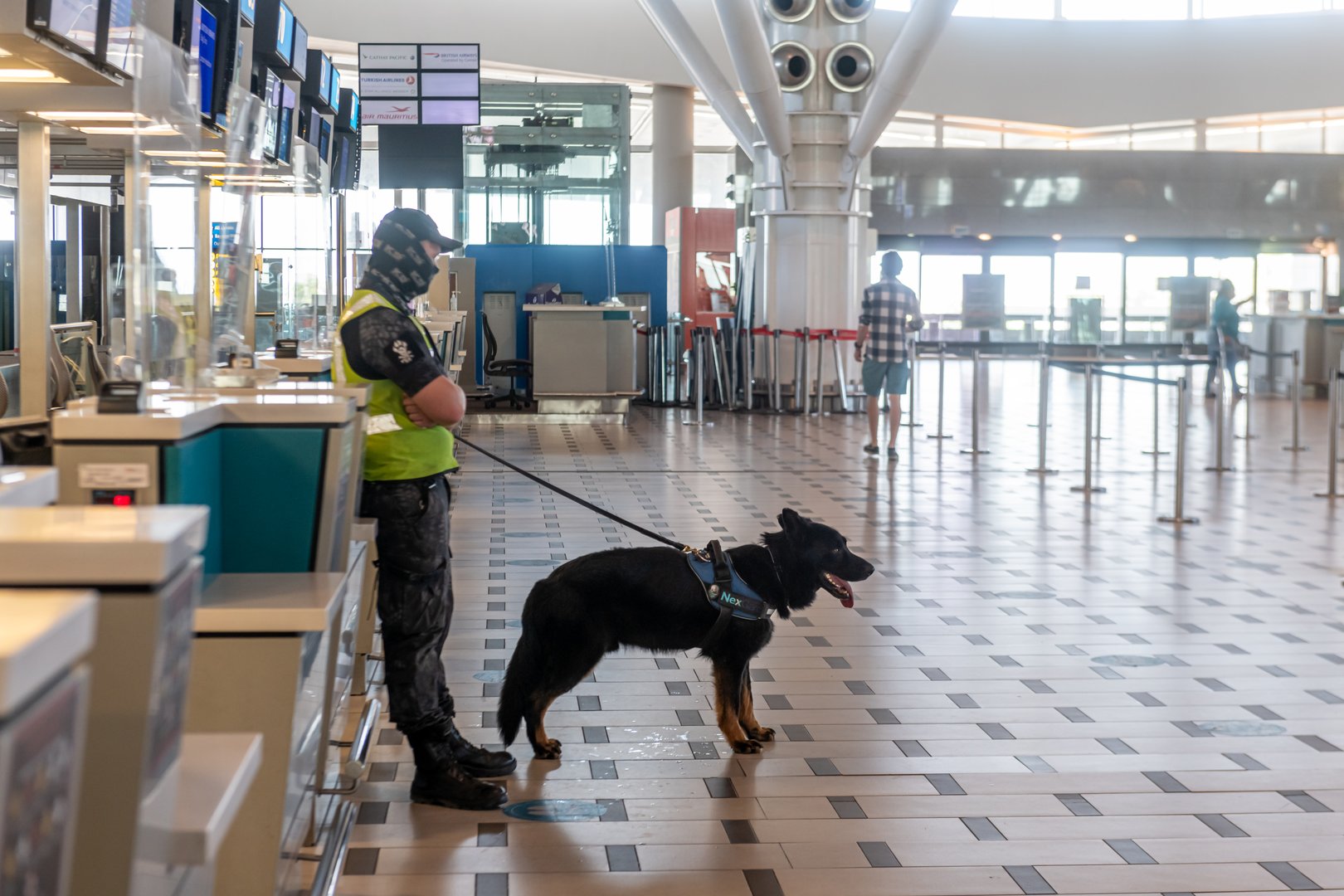 Police with a Dog from the dog unit at Cape town international airport
