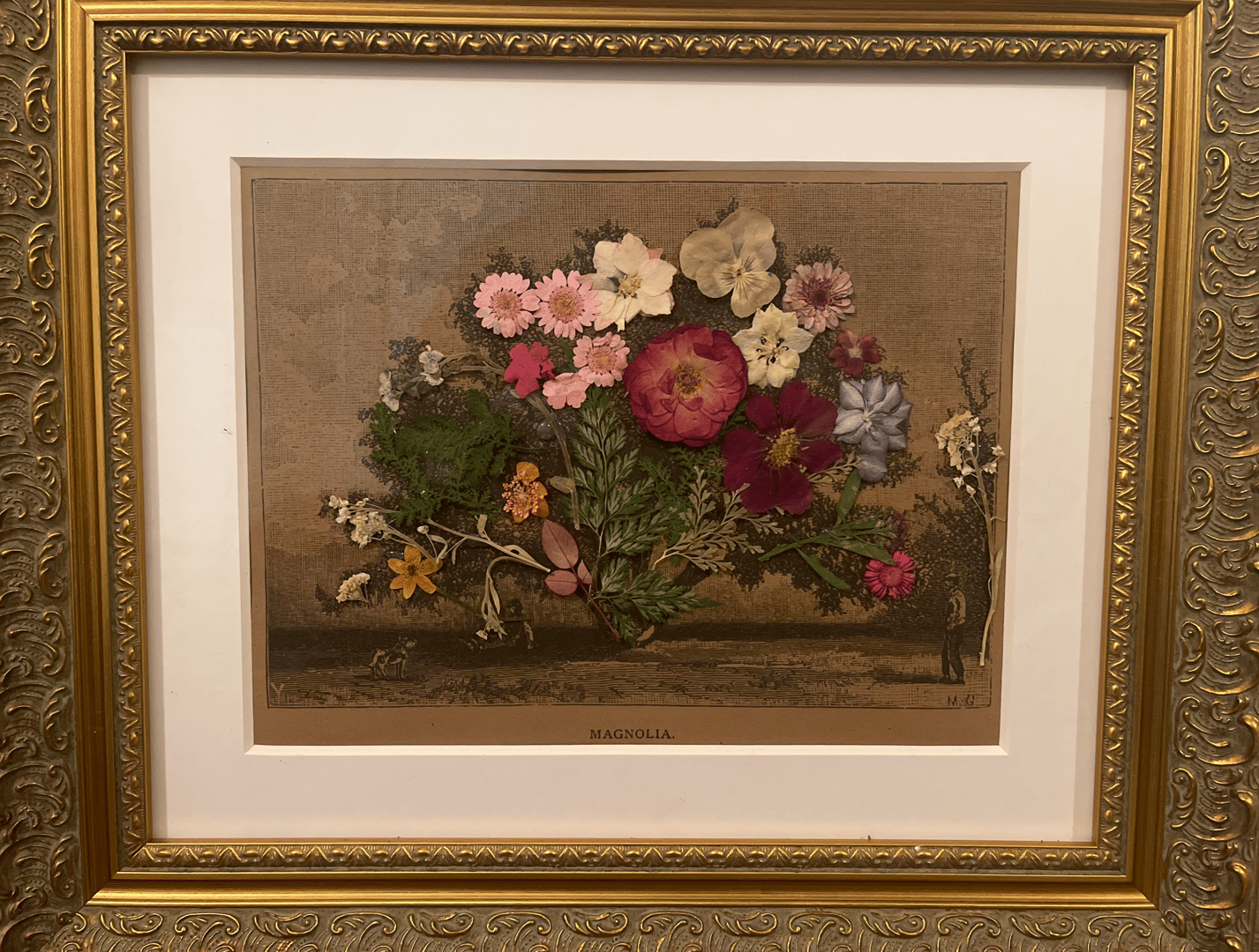 Vintage herbarium prints and pressed flower compositions
