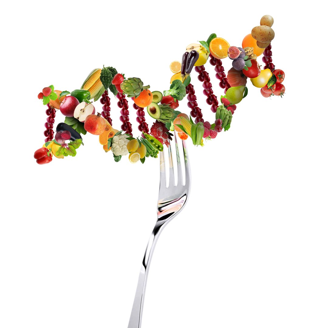 Nutrigenetics concept DNA helix made of vegetables
